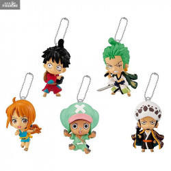 Random keychain One Piece,...