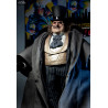 DC Comics, Batman - Pinguin, Catwoman or Batman figure