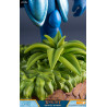 Figurine de Shovel Knight