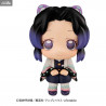 Demon Slayer Kimetsu no Yaiba - Pack figures Shinobu Kocho & Tomioka Giyu, (with gift) Look Up