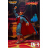 Darkstalkers - Figure Demitri Maximoff