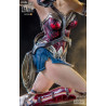 DC Comics, Justice League - Wonder Woman figure