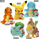 Pokemon - Farfetch’d, Bulbasaur, Squirtle, Charmander or Pikachu plush