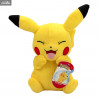 Pokemon - Farfetch’d, Bulbasaur, Squirtle, Charmander or Pikachu plush