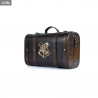 Coffret cadeau Harry Potter - Trouble Finds Me