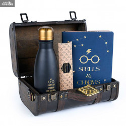 Coffret cadeau Harry Potter...