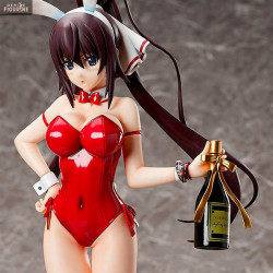 IS (Infinite Stratos) -...