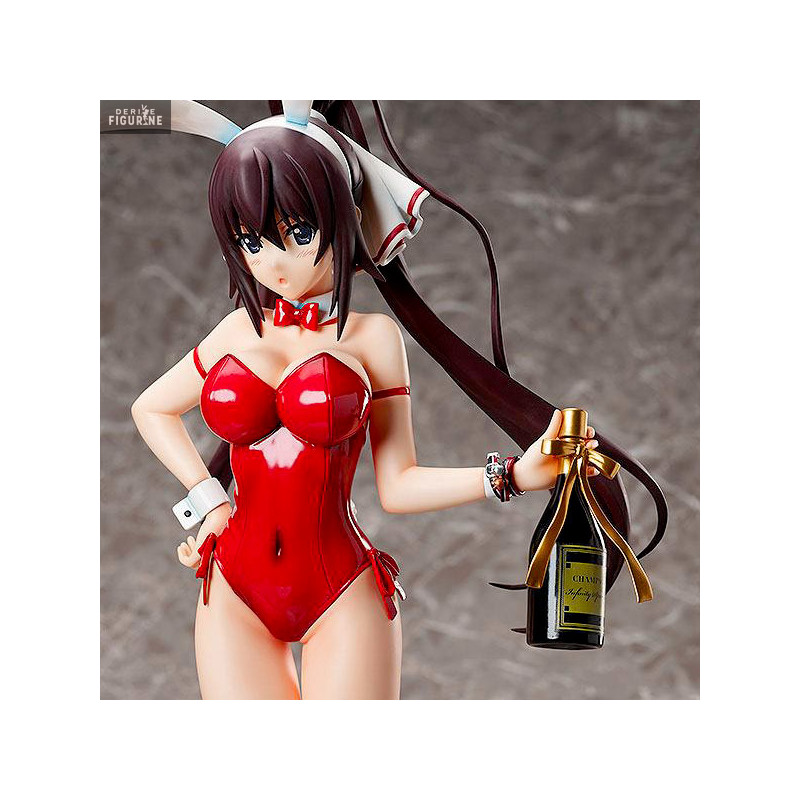 IS (Infinite Stratos) - Houki Shinonono figure Bare Leg Bunny