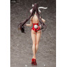 IS (Infinite Stratos) - Houki Shinonono figure Bare Leg Bunny