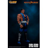 Mortal Kombat - Figure Sub-Zero, Unmasked