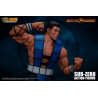 Mortal Kombat - Figure Sub-Zero, Unmasked