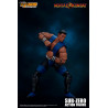 Mortal Kombat - Figure Sub-Zero, Unmasked