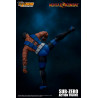 Mortal Kombat - Figure Sub-Zero, Unmasked