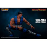 Mortal Kombat - Figure Sub-Zero, Unmasked