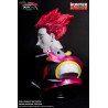 Hunter x Hunter - Buste Hisoka