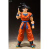 Dragon Ball Z - Figurine de Son Goku, Figuarts