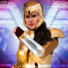 DC Comics, WW84 - Wonder Woman figure, Dynamic Action Heroes
