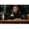 Harry Potter - Figurine Minerva McGonagall Classique ou Deluxe, My Favourite Movie