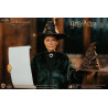 Harry Potter - Figurine Minerva McGonagall Classique ou Deluxe, My Favourite Movie