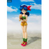 Dragon Ball - Figure Lunch, S.H. Figuarts