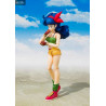 Dragon Ball - Figure Lunch, S.H. Figuarts
