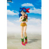 Dragon Ball - Figure Lunch, S.H. Figuarts