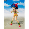 Dragon Ball - Figure Lunch, S.H. Figuarts