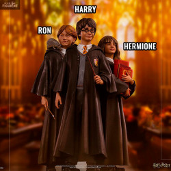 Harry Potter and the...