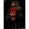 Harry Potter and the Philosopher's Stone - Harry, Hermione or Ron figure, Art Scale