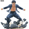 Bruce Lee figure Earth, Gallery