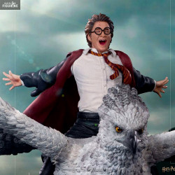 Harry Potter - Figurine...