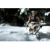 The Elder Scrolls V Skyrim - Figurine Dragonborn Standard ou Deluxe