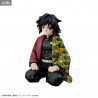 Demon Slayer Kimetsu no Yaiba - Figurine Giyu Tomioka Classique ou Deluxe, G.E.M. Palm Size