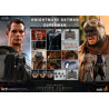 DC Comics, Zack Snyder's Justice League - Pack 2 figurines Knightmare Batman & Superman