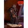 Star Wars - Figurine de Zuckuss, Collector Gallery