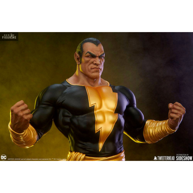 DC Comics - Figurine Black...