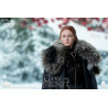 Game of Thrones - Sansa Stark (Season 8) figure