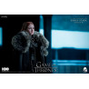 Game of Thrones - Sansa Stark (Season 8) figure