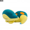 Pokemon plush of your choice - Squirtle, Chikorita, Totodile, Charmander, Bulbasaur, Cyndaquil, Sleeping