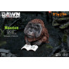 Rise of the Planet of the Apes - Figure Maurice, Classic or Deluxe, Deform Real Series Soft Vinyl
