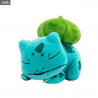 Pokemon plush of your choice - Squirtle, Chikorita, Totodile, Charmander, Bulbasaur, Cyndaquil, Sleeping