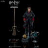 Harry Potter (Triwizard Tournament) or Voldemort New Version figure, My Favourite Movie