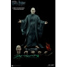 Harry Potter (Triwizard Tournament) or Voldemort New Version figure, My Favourite Movie