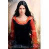 The Lord of the Rings: The Return of the King - Figure Arwen in Death Frock