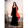 The Lord of the Rings: The Return of the King - Figure Arwen in Death Frock