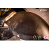 Claymore - Buste Claire, Elite