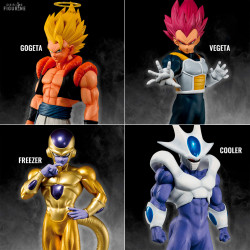 Dragon Ball Z - Figure SSG...
