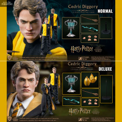Harry Potter - Figurine...