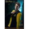 Harry Potter - Figure Cedric Diggory Triwizard, Normal or Deluxe, My Favourite Movie