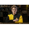 Harry Potter - Figure Cedric Diggory Triwizard, Normal or Deluxe, My Favourite Movie